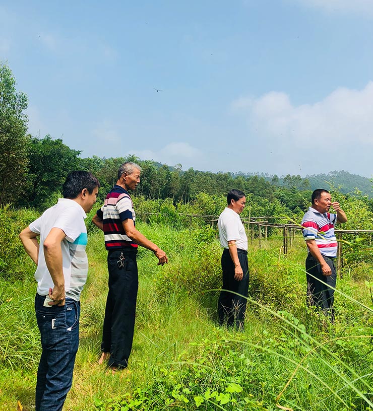 首页- Z6官网中国区人生就是博