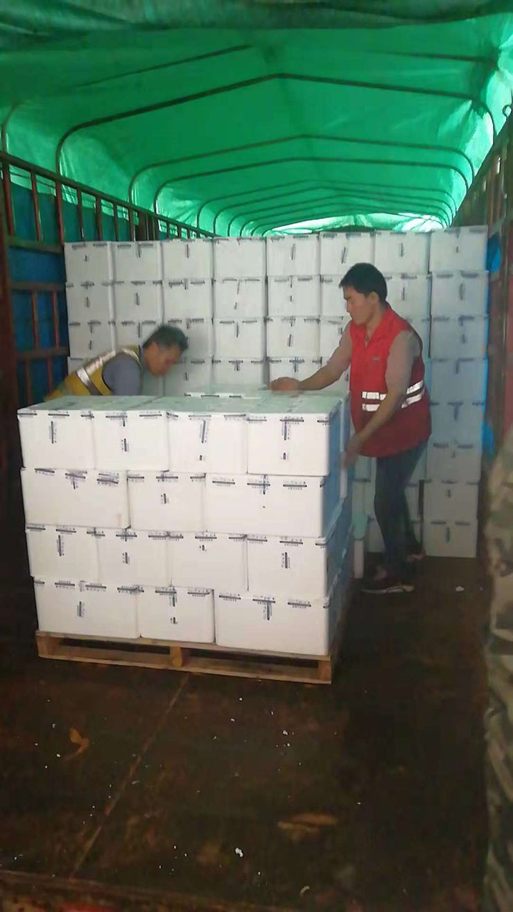 首页- Z6官网中国区人生就是博