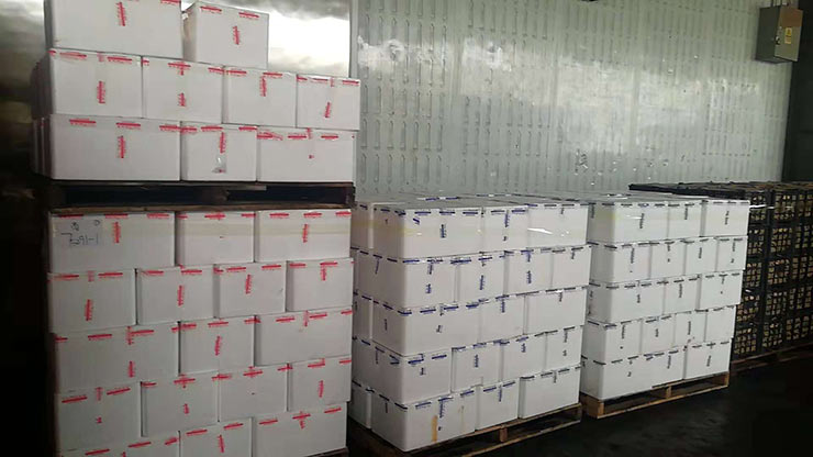 首页- Z6官网中国区人生就是博