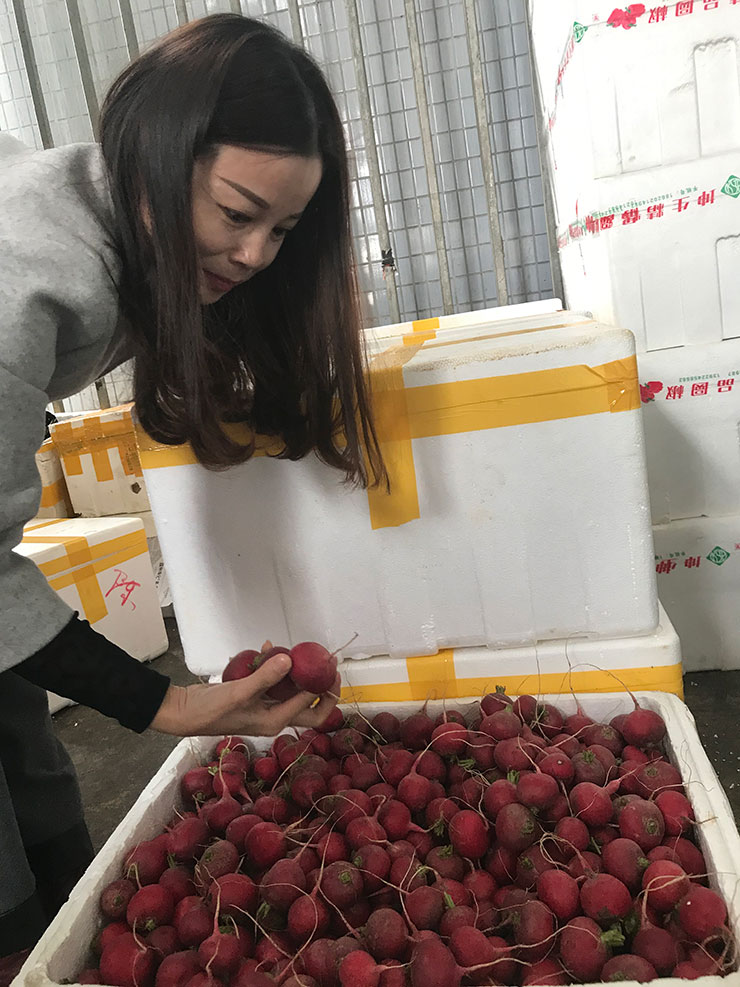 首页- Z6官网中国区人生就是博