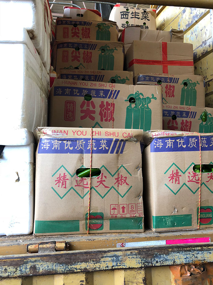 首页- Z6官网中国区人生就是博