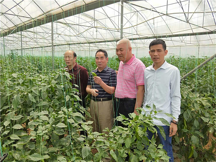 首页- Z6官网中国区人生就是博