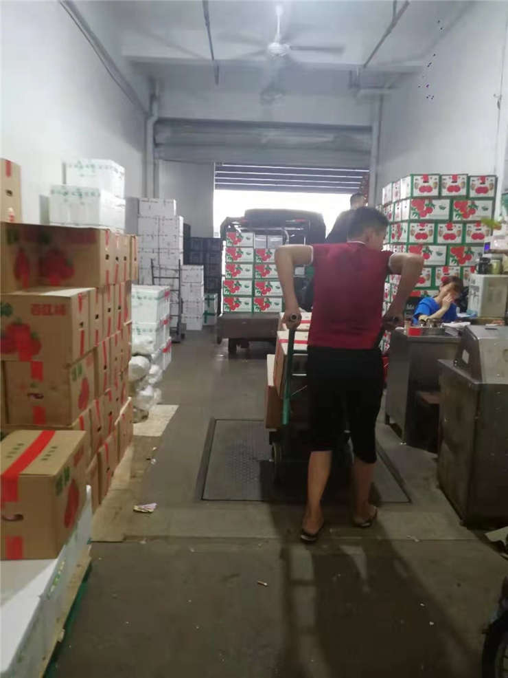 首页- Z6官网中国区人生就是博