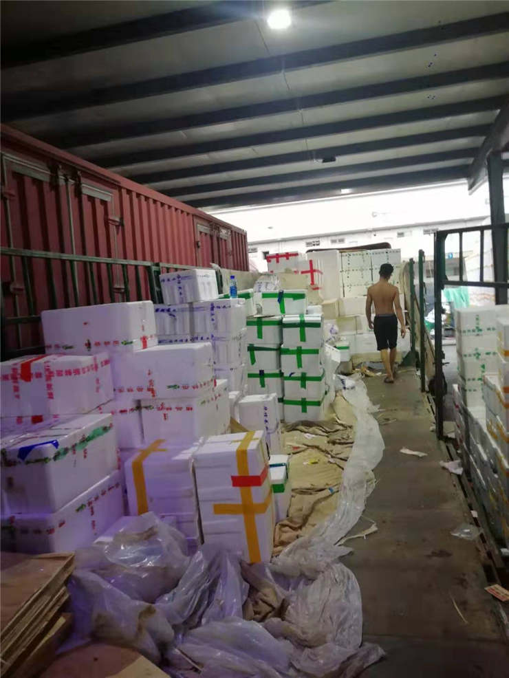 首页- Z6官网中国区人生就是博