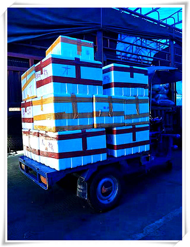 首页- Z6官网中国区人生就是博