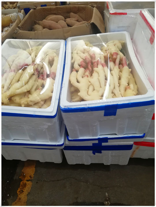 首页- Z6官网中国区人生就是博