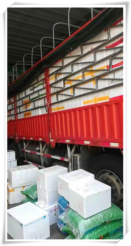 首页- Z6官网中国区人生就是博