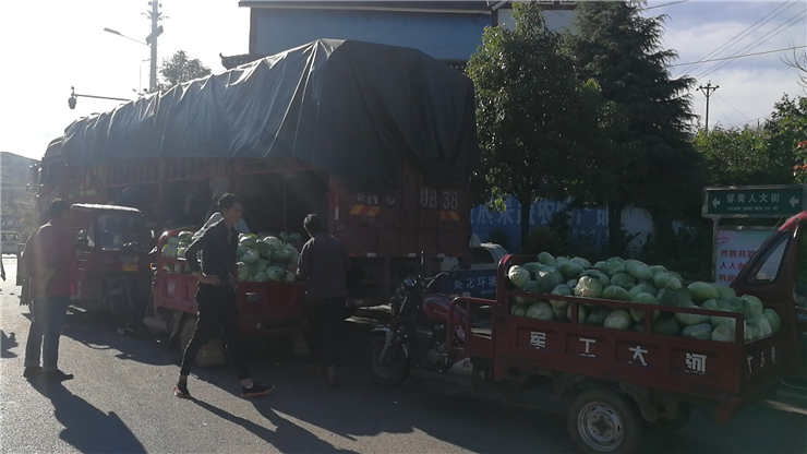 首页- Z6官网中国区人生就是博