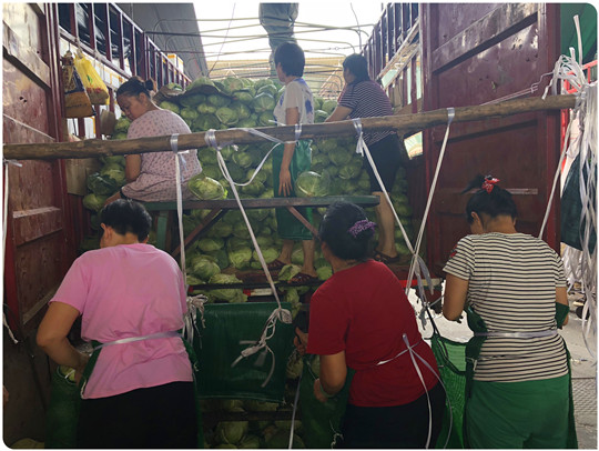 首页- Z6官网中国区人生就是博