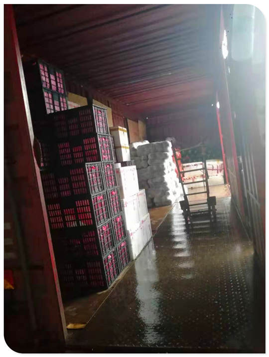 首页- Z6官网中国区人生就是博