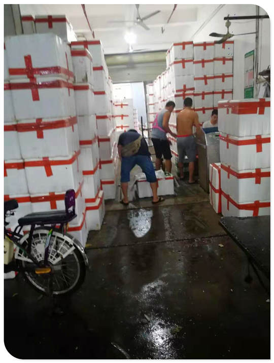 首页- Z6官网中国区人生就是博