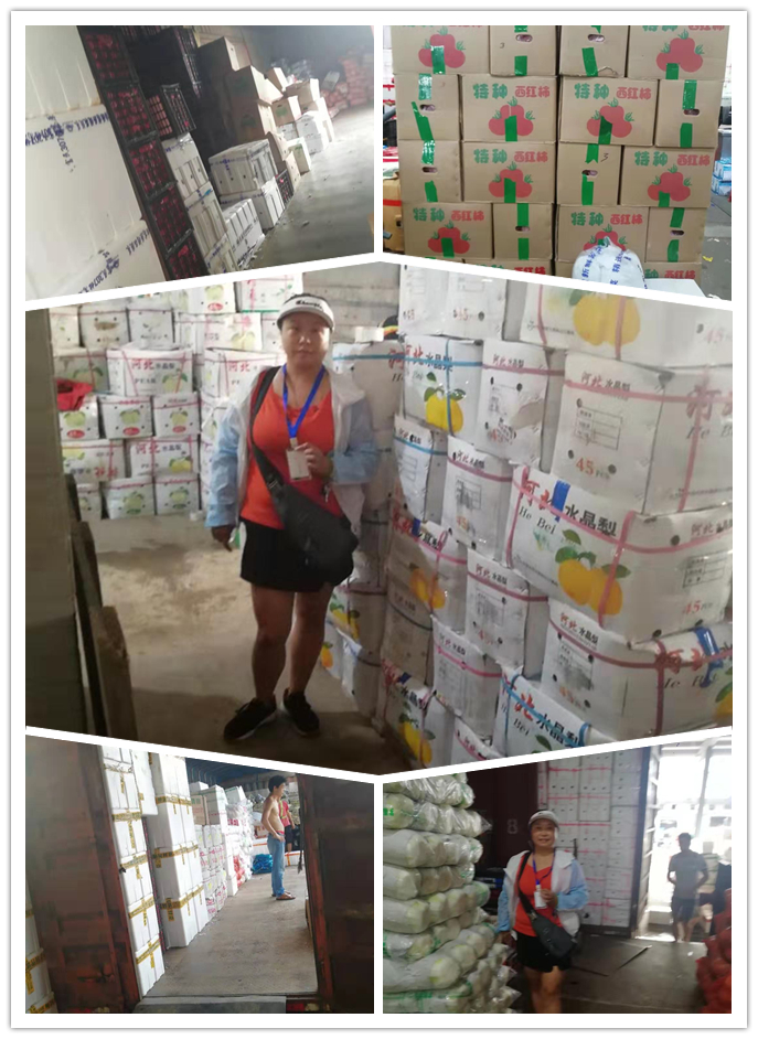 首页- Z6官网中国区人生就是博