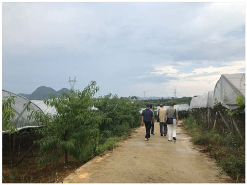 首页- Z6官网中国区人生就是博