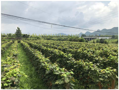 首页- Z6官网中国区人生就是博