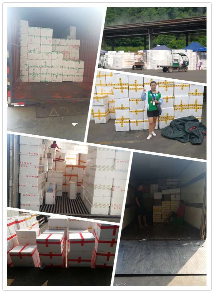 首页- Z6官网中国区人生就是博