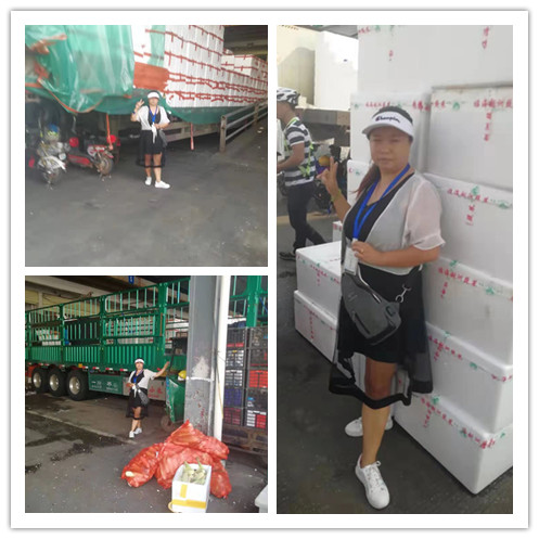 首页- Z6官网中国区人生就是博