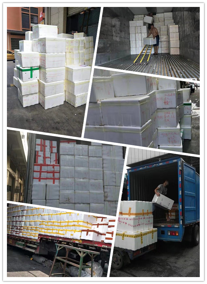 首页- Z6官网中国区人生就是博