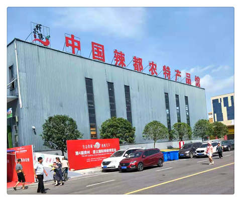 首页- Z6官网中国区人生就是博