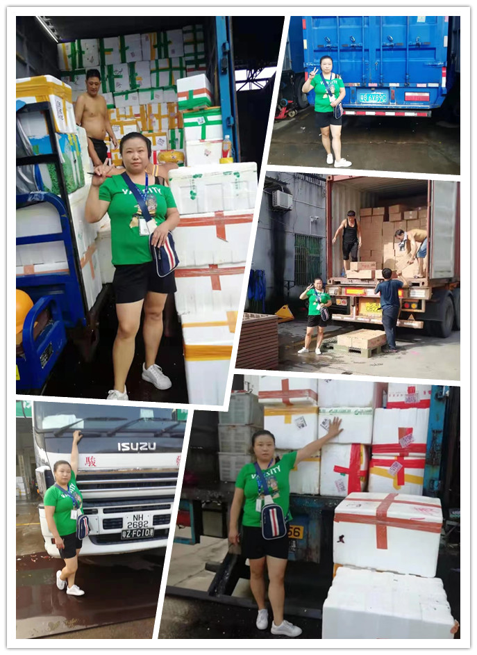 首页- Z6官网中国区人生就是博