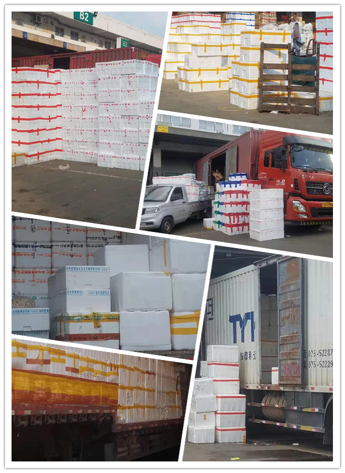 首页- Z6官网中国区人生就是博