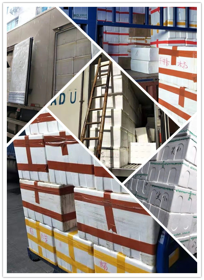 首页- Z6官网中国区人生就是博