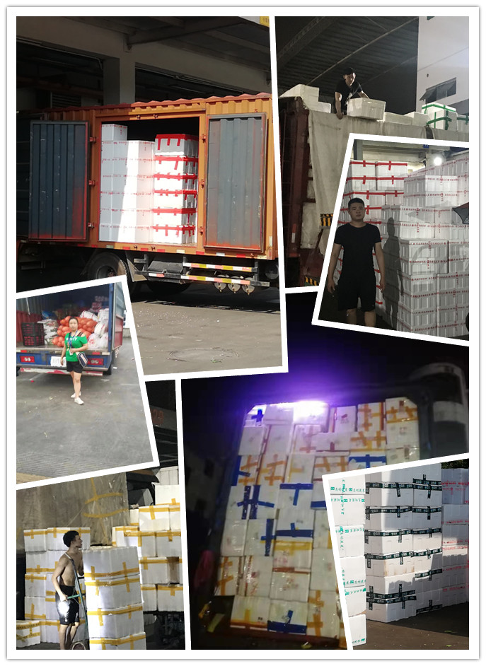 首页- Z6官网中国区人生就是博