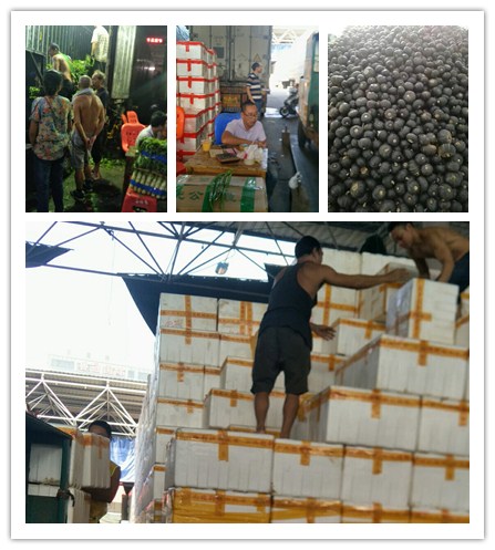 首页- Z6官网中国区人生就是博