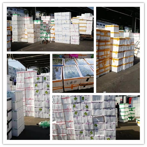 首页- Z6官网中国区人生就是博