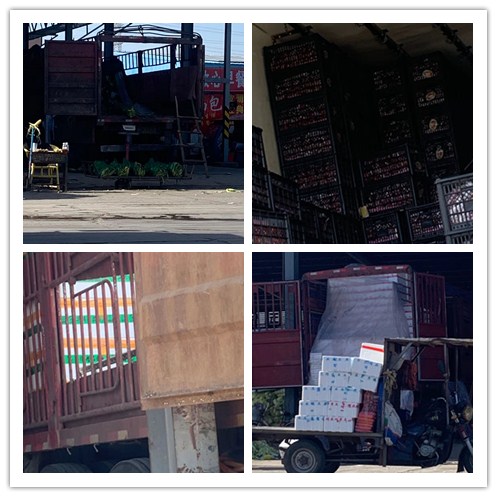 首页- Z6官网中国区人生就是博