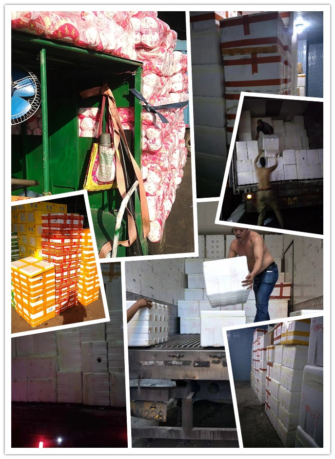 首页- Z6官网中国区人生就是博