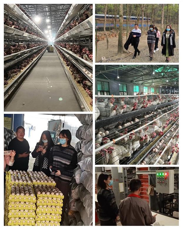 首页- Z6官网中国区人生就是博