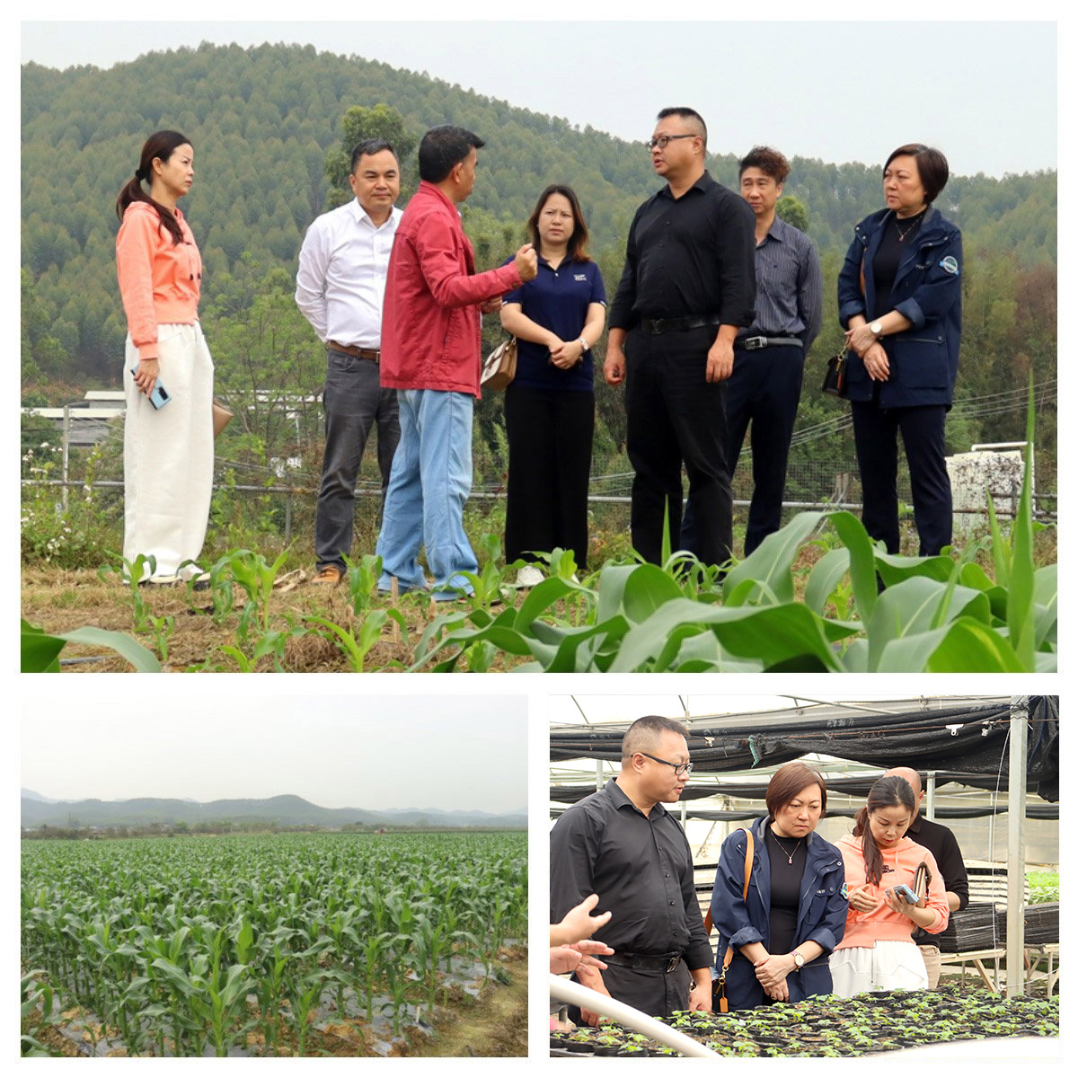 首页- Z6官网中国区人生就是博