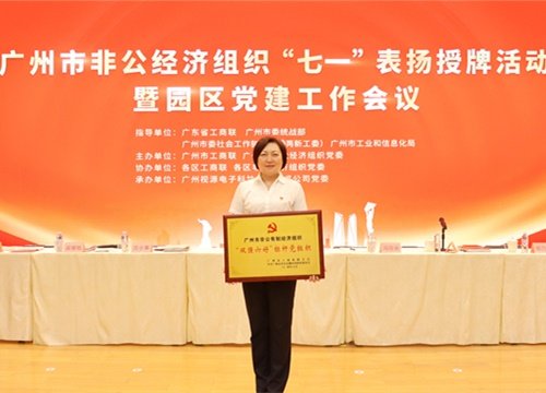 标杆引领，荣誉升级！集团党支部荣膺广州市非公有造经济组织“双强六好”标